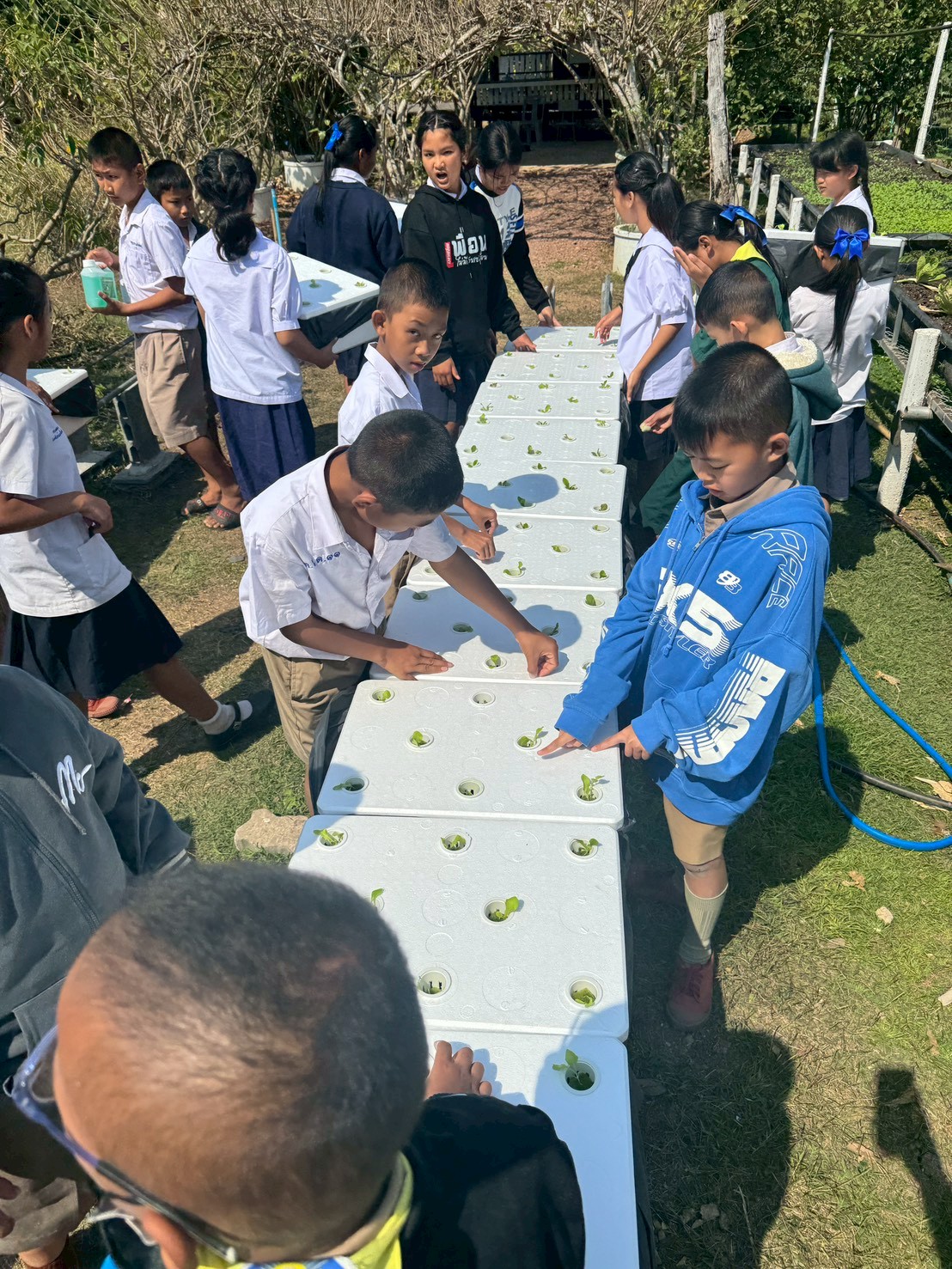 title - ส.ป.ก.จันทบุรี ดำเนินการฝึกอบรม โครงการเพิ่มศักยภาพระบบงานเกษตรภายใต้แผนพัฒนาเด็กและเยาวชนในถิ่นทุรกันดาร ตามพระราชดำริ สมเด็จพระเทพรัตนราชสุดาฯ สยามบรมราชกุมารี ประจำปีงบประมาณ พ.ศ. 2569 